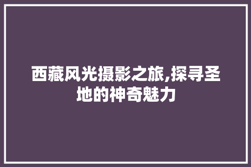 西藏风光摄影之旅,探寻圣地的神奇魅力