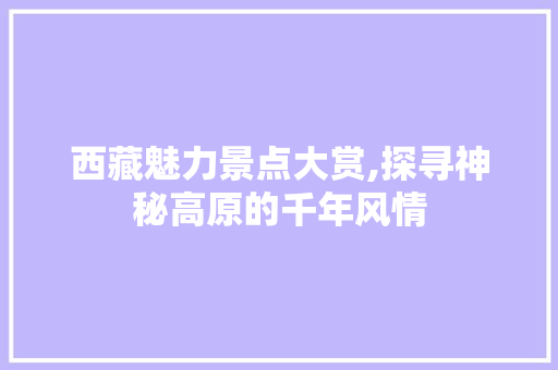 西藏魅力景点大赏,探寻神秘高原的千年风情