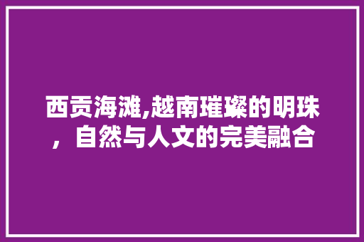 西贡海滩,越南璀璨的明珠，自然与人文的完美融合