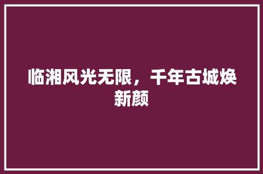 临湘风光无限，千年古城焕新颜