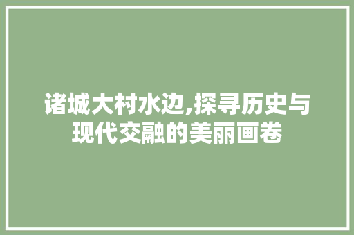 诸城大村水边,探寻历史与现代交融的美丽画卷