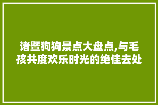 诸暨狗狗景点大盘点,与毛孩共度欢乐时光的绝佳去处