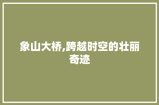 象山大桥,跨越时空的壮丽奇迹