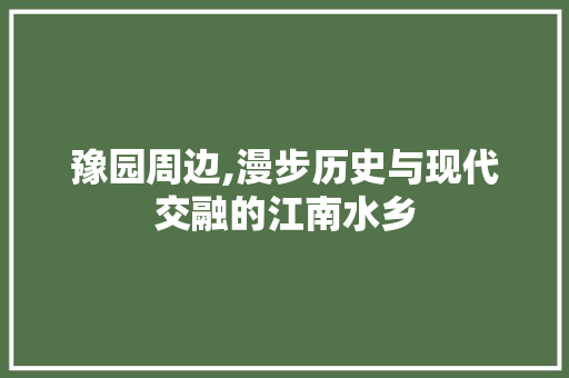 豫园周边,漫步历史与现代交融的江南水乡