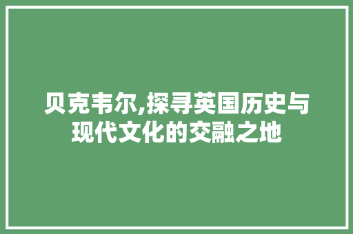 贝克韦尔,探寻英国历史与现代文化的交融之地