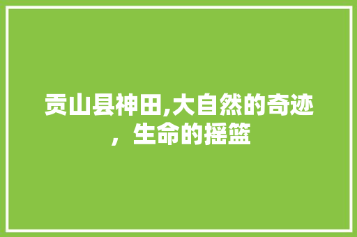 贡山县神田,大自然的奇迹，生命的摇篮