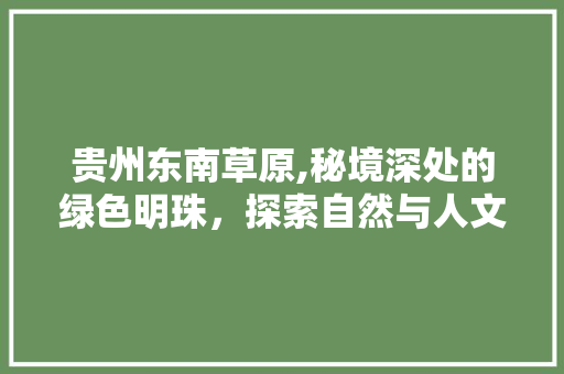 贵州东南草原,秘境深处的绿色明珠，探索自然与人文的交融之地