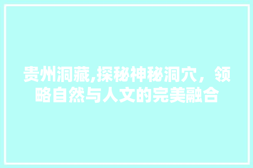 贵州洞藏,探秘神秘洞穴，领略自然与人文的完美融合