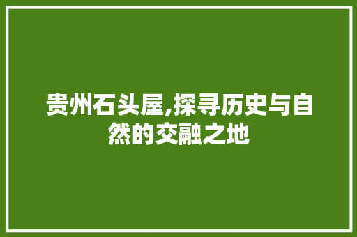 贵州石头屋,探寻历史与自然的交融之地