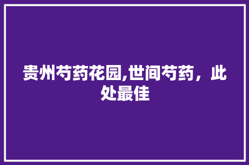 贵州芍药花园,世间芍药，此处最佳