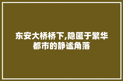 东安大桥桥下,隐匿于繁华都市的静谧角落