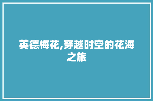 英德梅花,穿越时空的花海之旅