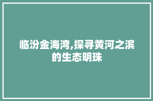 临汾金海湾,探寻黄河之滨的生态明珠