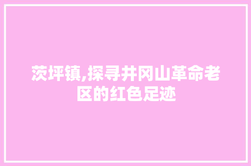 茨坪镇,探寻井冈山革命老区的红色足迹