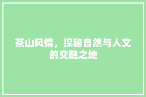 茶山风情，探秘自然与人文的交融之地