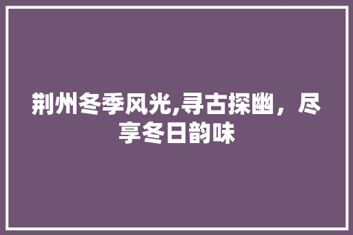 荆州冬季风光,寻古探幽，尽享冬日韵味