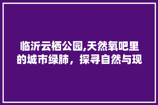 临沂云栖公园,天然氧吧里的城市绿肺，探寻自然与现代的和谐共鸣