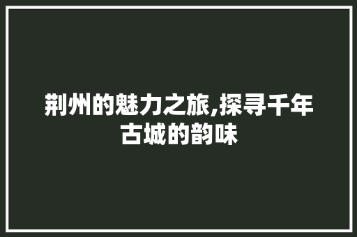 荆州的魅力之旅,探寻千年古城的韵味