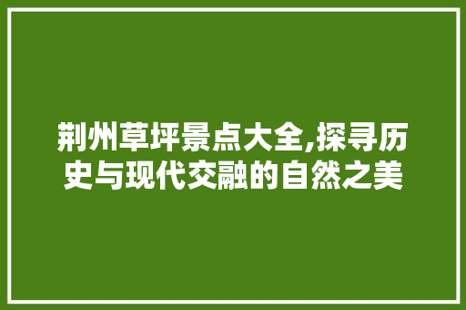 荆州草坪景点大全,探寻历史与现代交融的自然之美