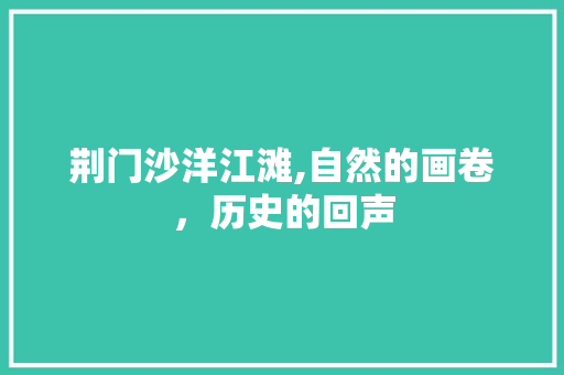 荆门沙洋江滩,自然的画卷，历史的回声