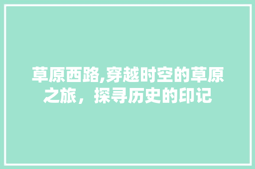 草原西路,穿越时空的草原之旅，探寻历史的印记