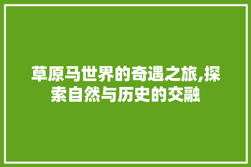 草原马世界的奇遇之旅,探索自然与历史的交融