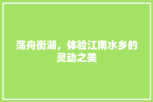 荡舟衡湖，体验江南水乡的灵动之美