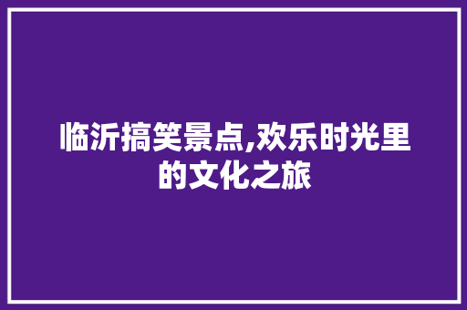 临沂搞笑景点,欢乐时光里的文化之旅  第1张