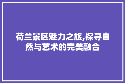 荷兰景区魅力之旅,探寻自然与艺术的完美融合