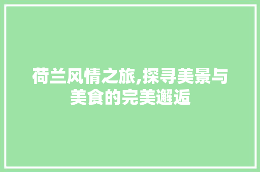 荷兰风情之旅,探寻美景与美食的完美邂逅