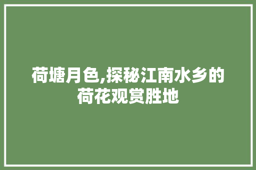 荷塘月色,探秘江南水乡的荷花观赏胜地