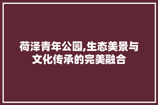 荷泽青年公园,生态美景与文化传承的完美融合