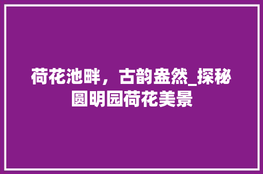 荷花池畔，古韵盎然_探秘圆明园荷花美景