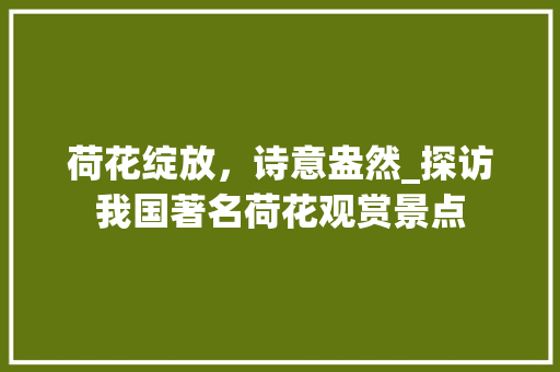 荷花绽放，诗意盎然_探访我国著名荷花观赏景点