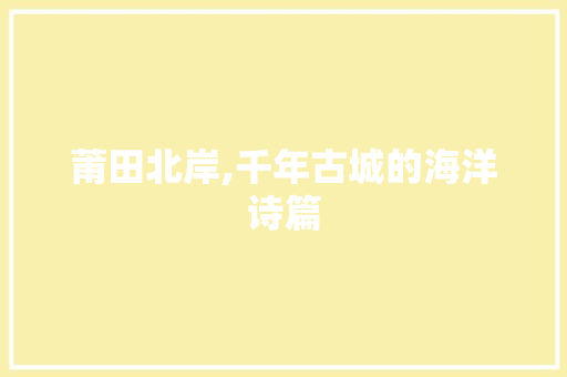 莆田北岸,千年古城的海洋诗篇  第1张