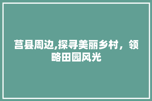 莒县周边,探寻美丽乡村，领略田园风光