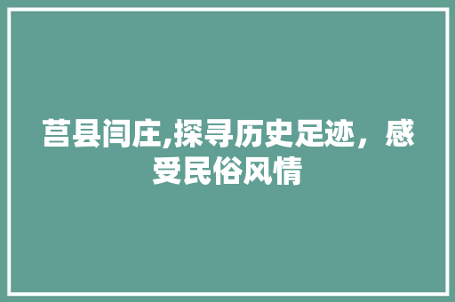 莒县闫庄,探寻历史足迹，感受民俗风情