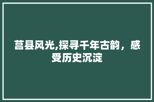 莒县风光,探寻千年古韵，感受历史沉淀