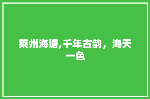 莱州海塘,千年古韵，海天一色