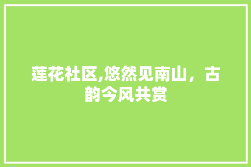 莲花社区,悠然见南山，古韵今风共赏