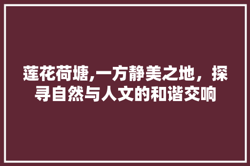 莲花荷塘,一方静美之地，探寻自然与人文的和谐交响