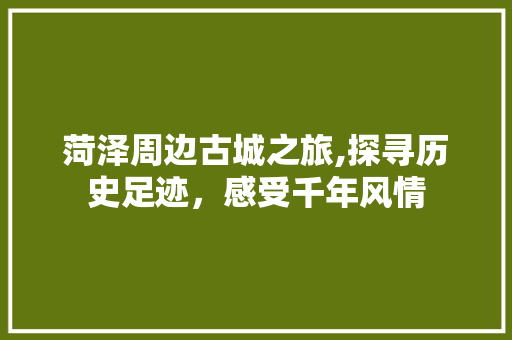 菏泽周边古城之旅,探寻历史足迹，感受千年风情