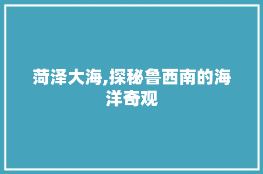 菏泽大海,探秘鲁西南的海洋奇观