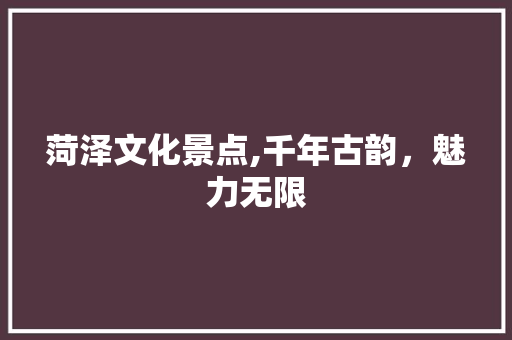 菏泽文化景点,千年古韵，魅力无限  第1张