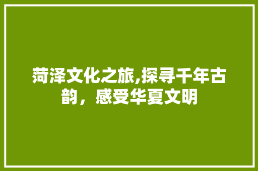 菏泽文化之旅,探寻千年古韵，感受华夏文明  第1张