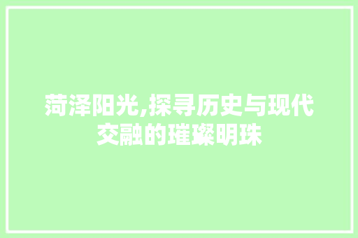 菏泽阳光,探寻历史与现代交融的璀璨明珠