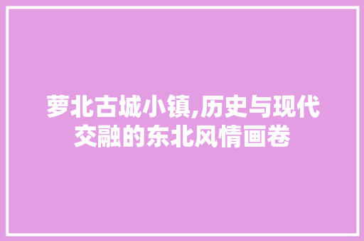 萝北古城小镇,历史与现代交融的东北风情画卷