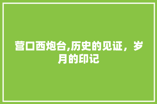 营口西炮台,历史的见证，岁月的印记