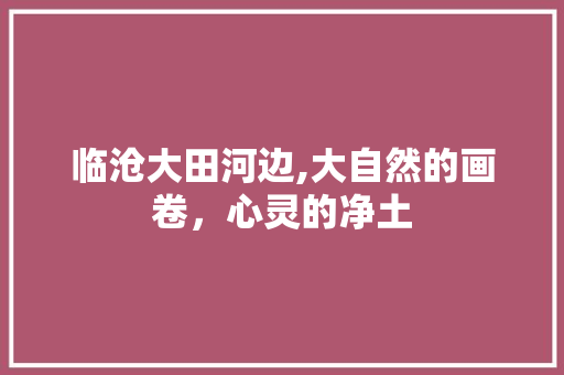 临沧大田河边,大自然的画卷，心灵的净土