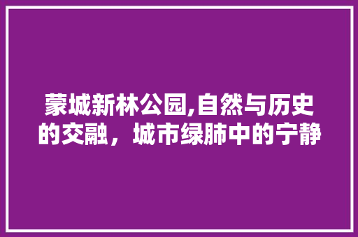 蒙城新林公园,自然与历史的交融，城市绿肺中的宁静角落